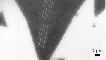 SEM images of a scratched MoS₂ monolayer