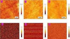 Tapping-Mode AFM topograhpy and adhesion maps