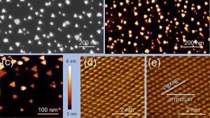 REM-, AFM- und STM-Bilder verschiedener Bereiche einer Au/MoS₂-Probe